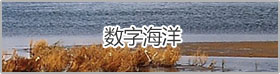 數(shù)字海洋